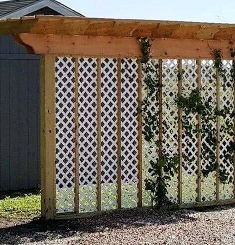 Pergola beam with white lattice privacy screen and vines